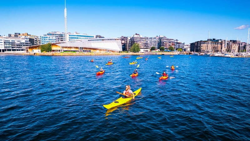 Oslo Sea Kayak Tour Fjord City - A Close Look at the Experience