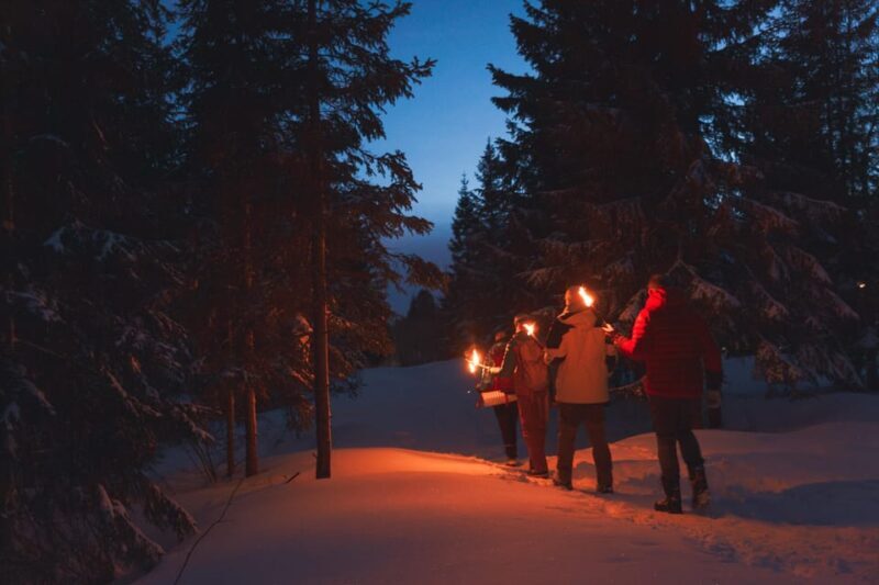 Oslo: Snowy Forest Torchlight Walk with Campfire - Key Points