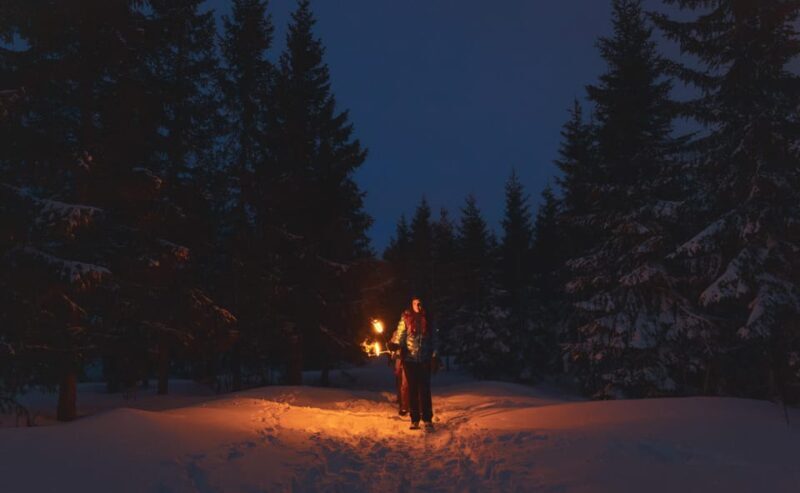 Oslo: Snowy Forest Torchlight Walk with Campfire - What to Expect from the Experience