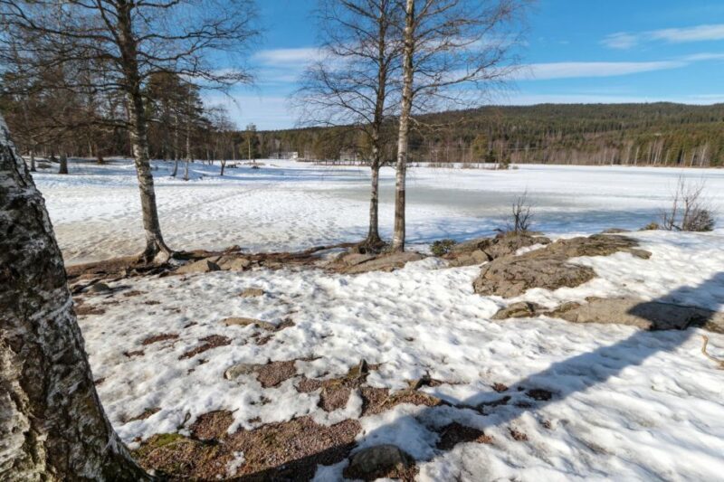 Oslo Summit: A Scenic Hiking Adventure to Vettakollen - Discovering the Vettakollen Viewpoint and Oslomarka
