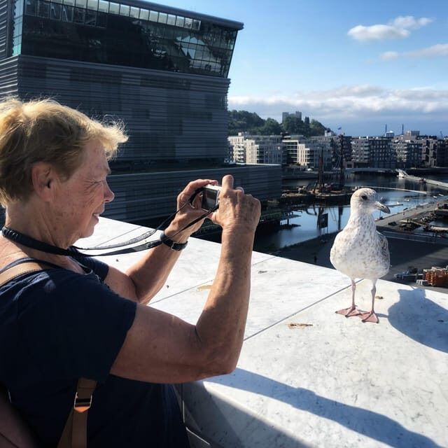 Oslo Unveiled: Private Walking Tour - The Experience: Guided, Personal, and Flexible