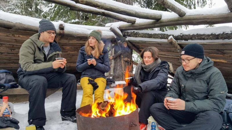 Oslo: Wilderness Skiing Tour with Lunch by the Fire - What to Expect and What Not to Expect