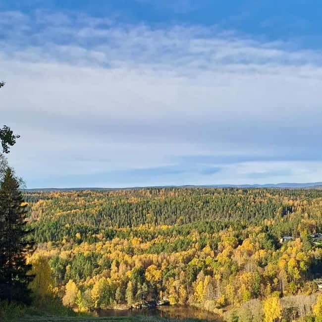 Oslo: Winter Wonderland Forest Hike and Campfire with a Dog - Final Thoughts