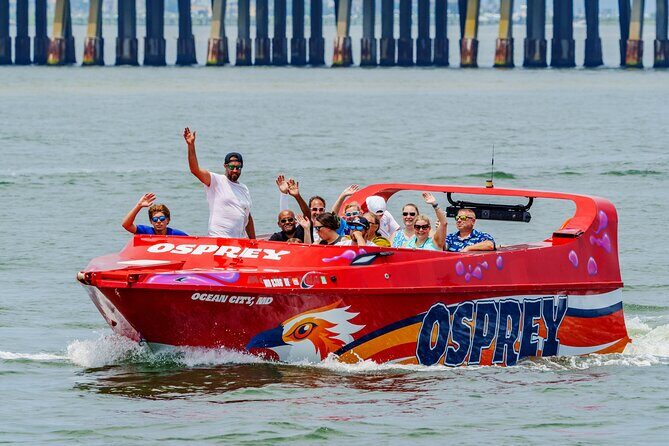 Osprey: A Unique Jet Boat Experience - An Honest Look at What to Expect