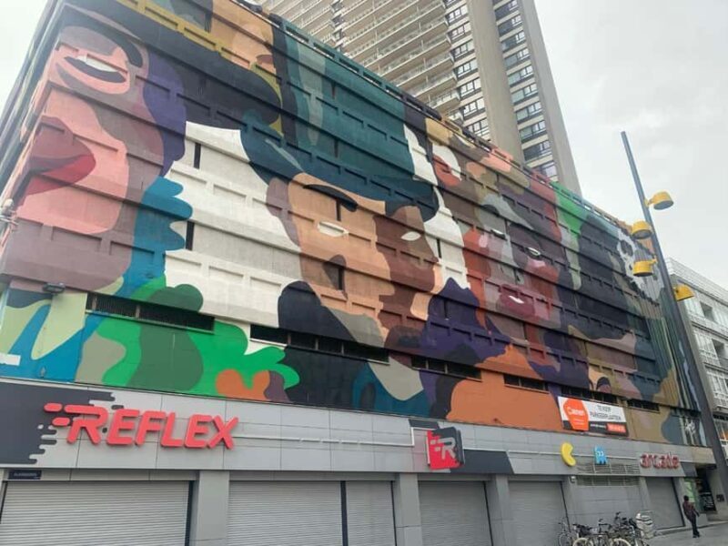 Ostend : Private citycenter street-art walk with local guide - The Practicalities: Price, Accessibility, and Booking