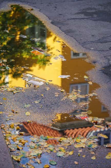 Østerbro: Evening Treats & Insights Walking Tour - Østerbro: Evening Treats & Insights Walking Tour — A Friendly Look