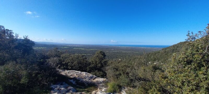 Ostuni: E-Bike Tour with a Glass of Wine & Bruschetta - FAQ