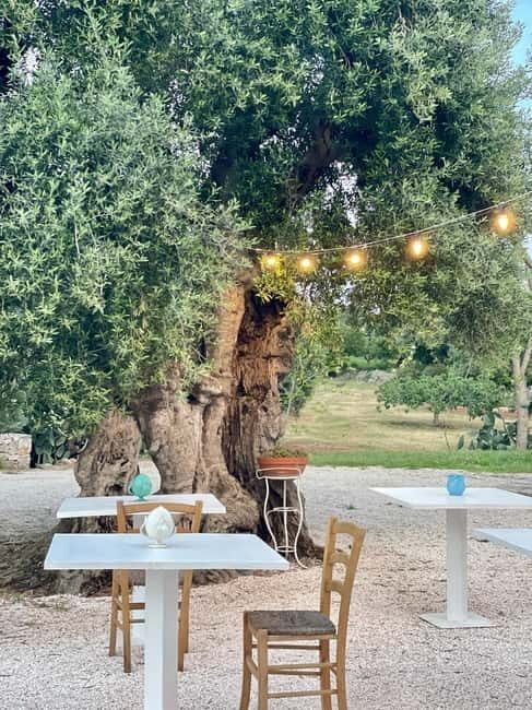 Ostuni: Masseria tour among thousand-year-old olive trees with oil tasting - Key Points