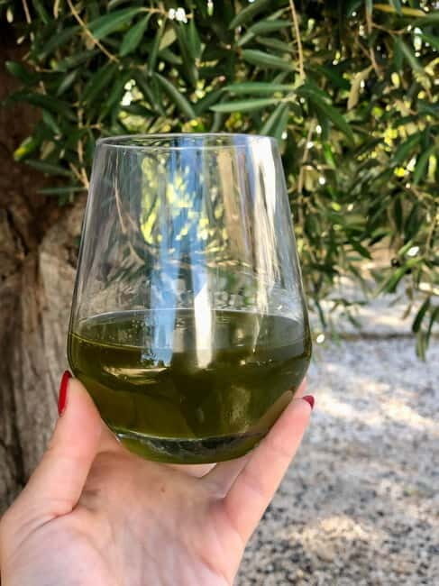 Ostuni: Masseria tour among thousand-year-old olive trees with oil tasting - Final Words