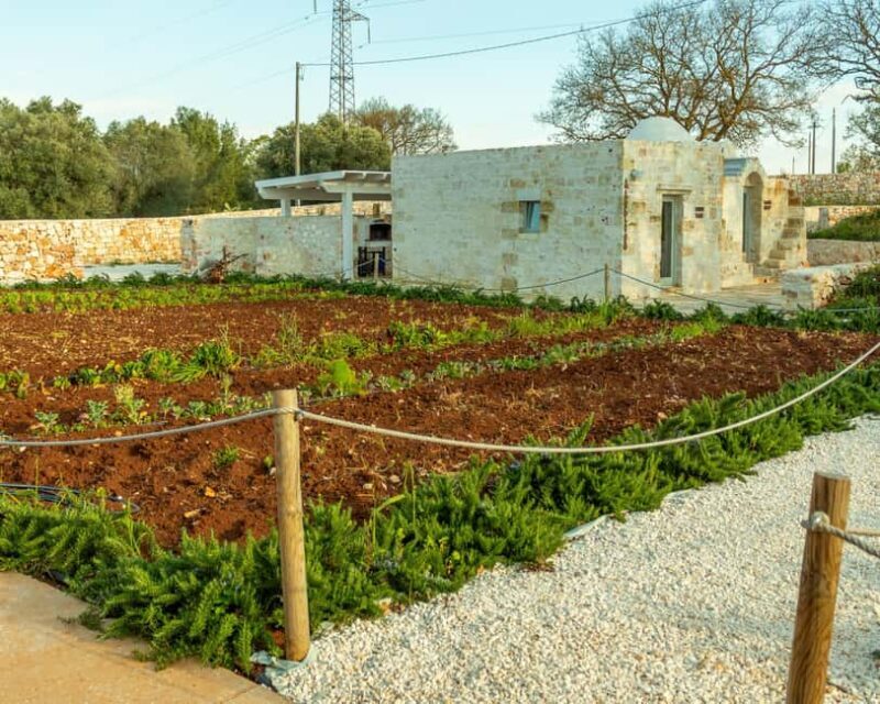 Ostuni: Organic Lunch and Wine Tasting at Amalberga - Why This Tour Stands Out