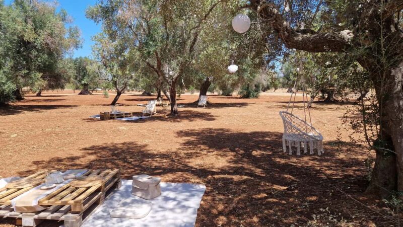 Ostuni: San Vito dei Normani: Organic Picnic in Olive Grove - Key Points