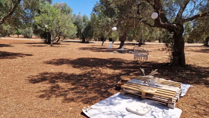 Ostuni: San Vito dei Normani: Organic Picnic in Olive Grove - Who Will Enjoy This?