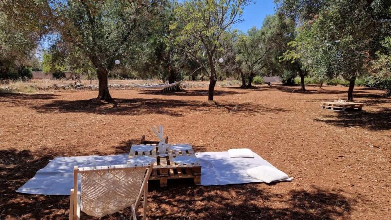 Ostuni: San Vito dei Normani: Organic Picnic in Olive Grove - Practical Details & Tips