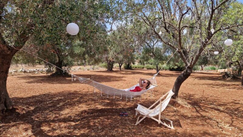 Ostuni: San Vito dei Normani: Organic Picnic in Olive Grove - The Reality Check: Is It Worth It?