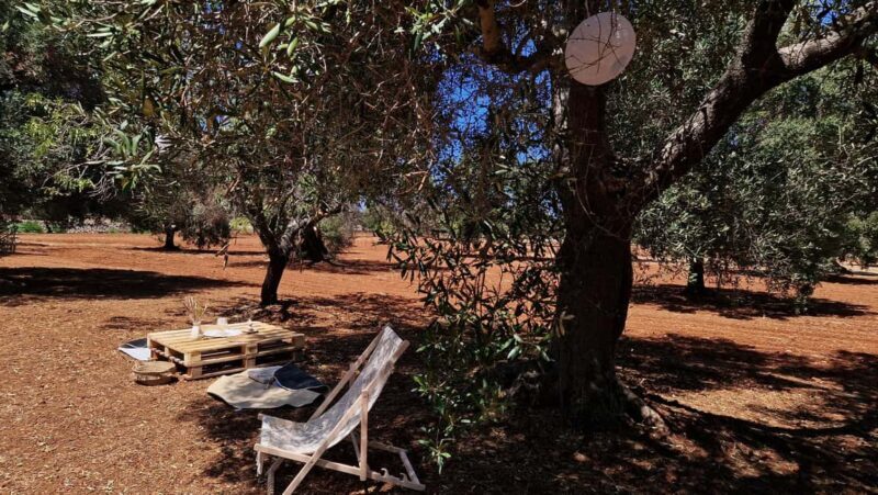 Ostuni: San Vito dei Normani: Organic Picnic in Olive Grove - FAQs