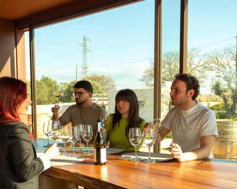 Ostuni's organic wines  tour and tasting in the winery - Key Points