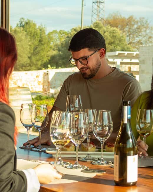 Ostuni's organic wines  tour and tasting in the winery - A Closer Look at the Ostuni Organic Wine Tour