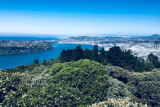 Otago Peninsula Scenery and Dunedin City Highlights Tour - Who Should Consider This Tour?