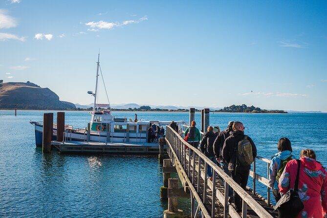 Otago Peninsula Wildlife Cruise with Monarch - An Honest Look at the Experience