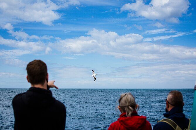 Otago Peninsula Wildlife Tour & Cruise - FAQs