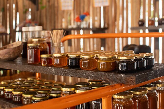 Otoch Mayan Experiences with Cenote Shared Guided Tour - Practical Tips for Your Visit