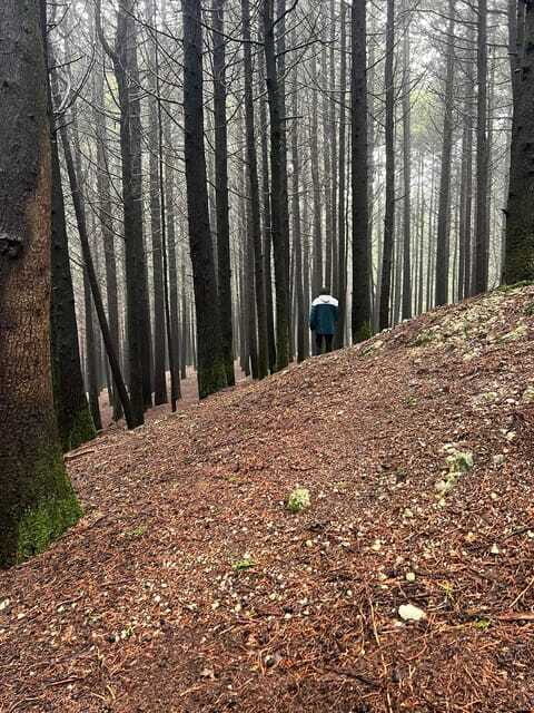 Otomí Ceremonial Center Daytrip - Final Thoughts: Who Will Love It?