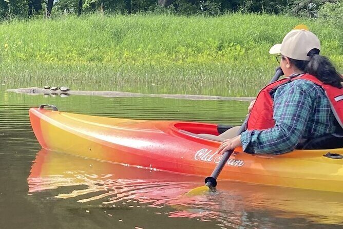 Ottawa Ecological Reserve Kayak Tour with TURTLE Sightings - Final Thoughts