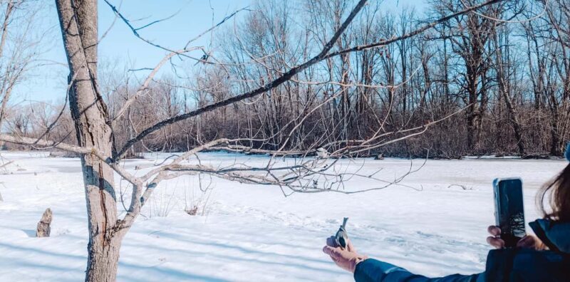 Ottawa: Guided Nature Walk & Wildlife Tour with Hotel Pickup - Practical Details: What You Need to Know