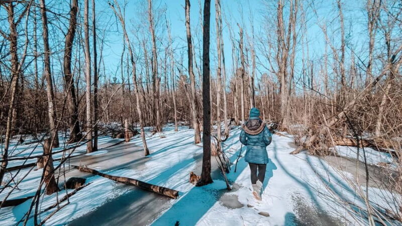 Ottawa: Guided Nature Walk & Wildlife Tour with Hotel Pickup - FAQ