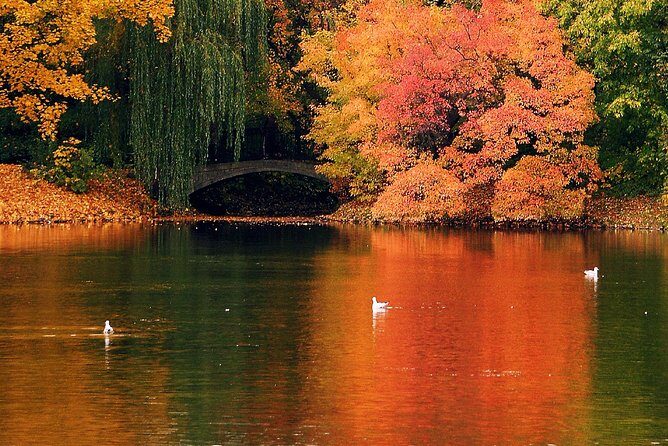 Ottawa Hop-On Hop-Off Sightseeing Tour - What Could Be Better?