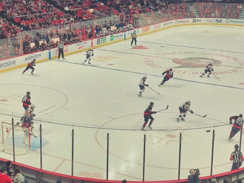 Ottawa: Ottawa Senators Ice Hockey Game Ticket - Who Should Consider This Tour?
