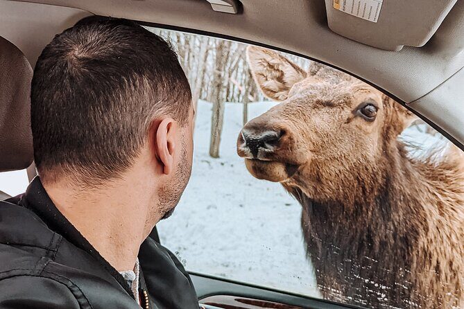 Ottawa Parc Omega Private Tour with Hotel Transfer - Who Should Consider This Tour?