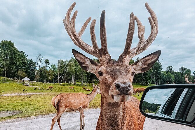 Ottawa Parc Omega Private Tour with Hotel Transfer - Final Thoughts