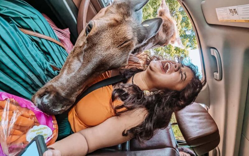 Ottawa: Private Wildlife Adventure Safari in Parc Omega - Addressing Practicalities