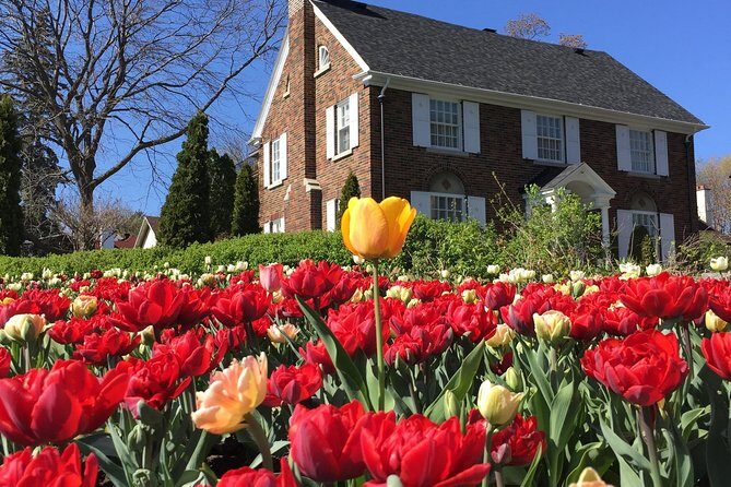 Ottawa Spring Tulip Festival Bike Tour - The Bottom Line: Who Should Consider This Tour?