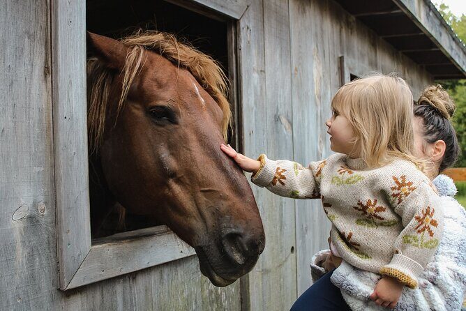 Ottawa Valleyview Little Animal Farm Tour - What We Liked About This Tour