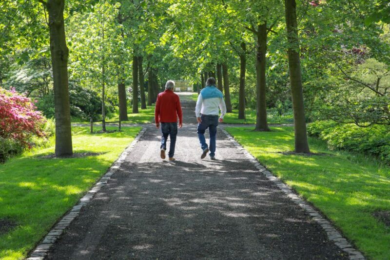 Oudenbosch: Guided City Walk - Practical Details: What to Know Before You Go