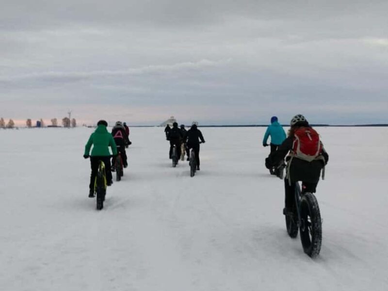 Oulu: Arctic Sea Bike Experience - Key Points