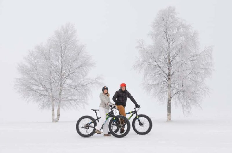 Oulu: Arctic Sea Bike Experience - Price and Value