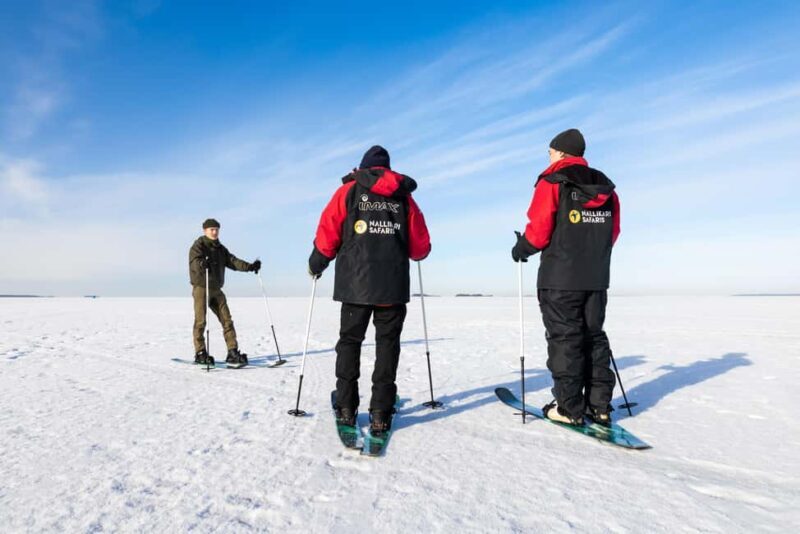 Oulu: Arctic Sea Snowshoe Experience - Key Points