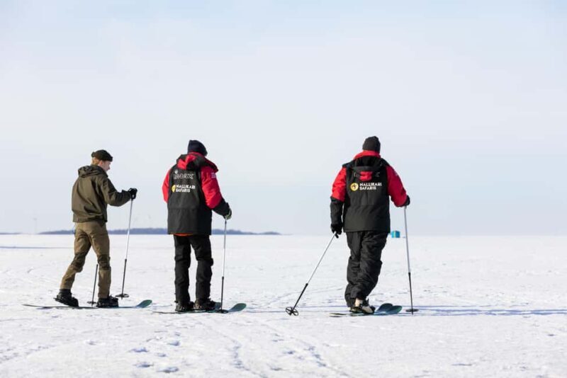 Oulu: Arctic Sea Snowshoe Experience - The Bottom Line: Who Will Love This?