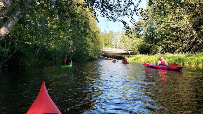 Oulu Delta Kayaking Safari - Who Should Consider This Tour?