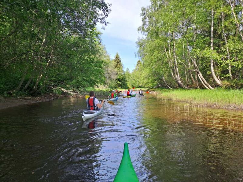 Oulu Delta Kayaking Safari - FAQ