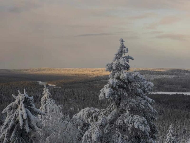 Oulu: Full-Day Trip to Syöte Fells and National Park - Key Points