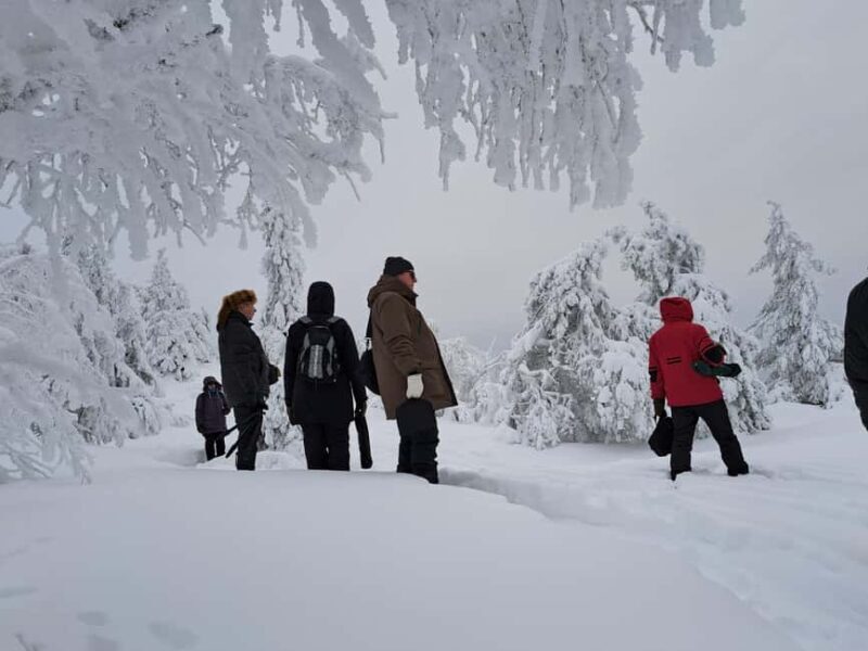 Oulu: Full-Day Trip to Syöte Fells and National Park - Exploring the Syöte Fells and National Park