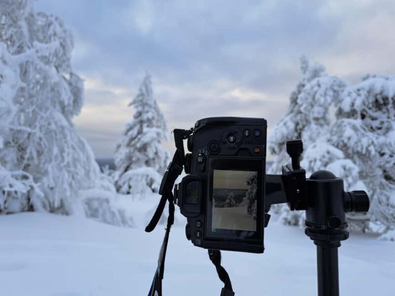 Oulu: Full-Day Trip to Syöte Fells and National Park - Who Is This Tour Best For?