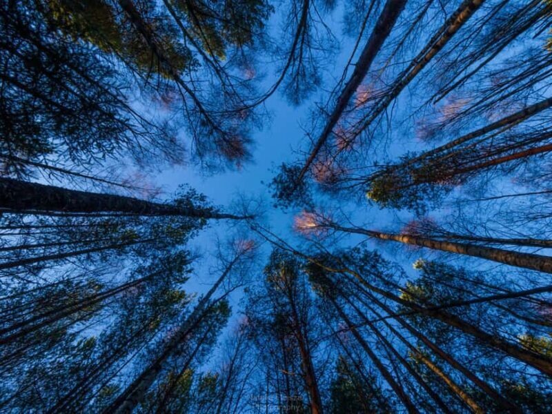 Oulu: Guided Fatbike Tour From Nallikari Around Hietasaari - Value for Money: Is It Worth the Price?