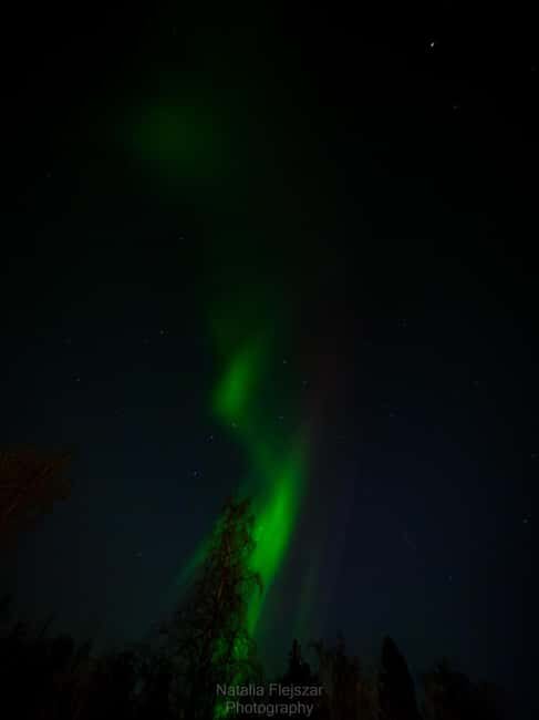 Oulu: Guided Night Walking Tour with Northern Lights Hunting - What Travelers Are Saying