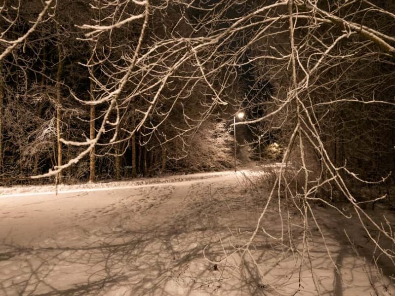 Oulu: Guided Night Walking Tour with Northern Lights Hunting - Final Thoughts