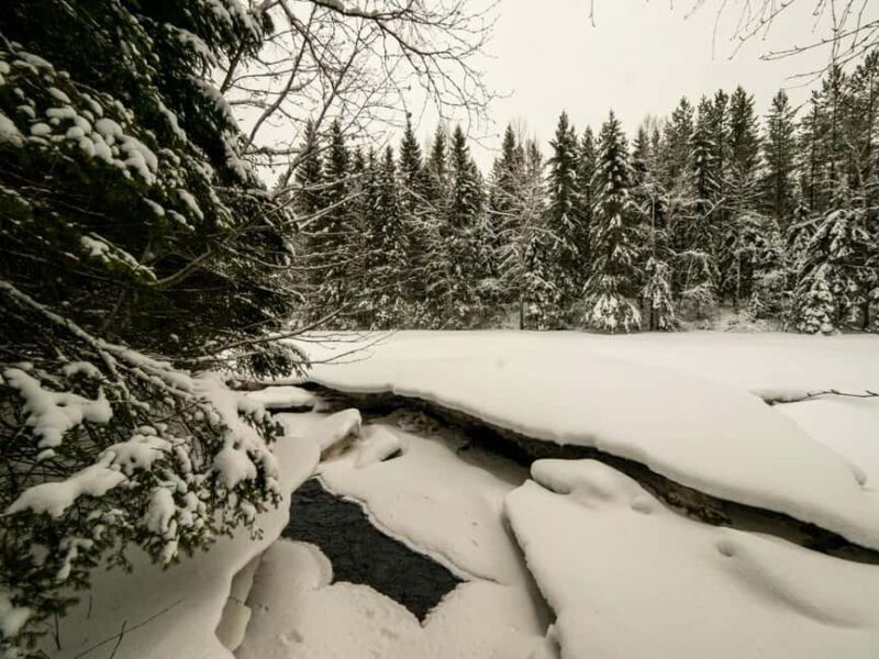 Oulu: Guided Winter Day Trip to Sanginjoki Nature Reserve - Key Points